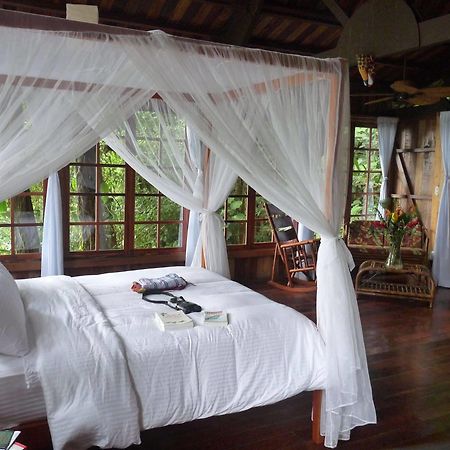 Rio Magnolia Nature Lodge Tinamaste Eksteriør bilde